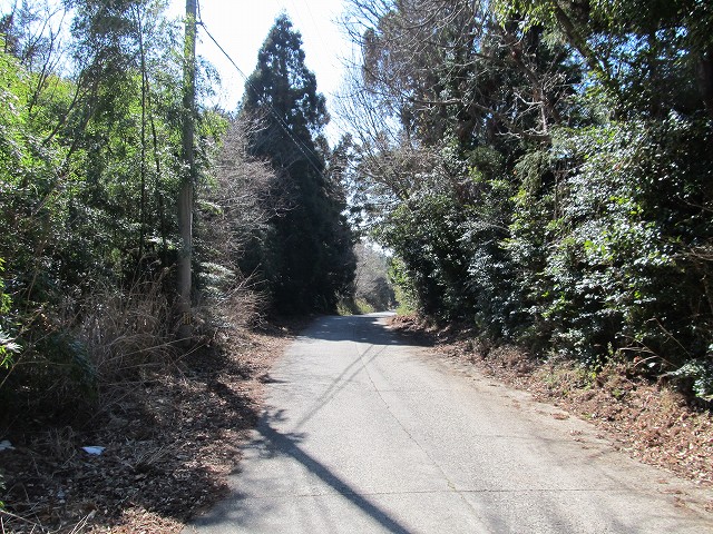 t05_150.jpg