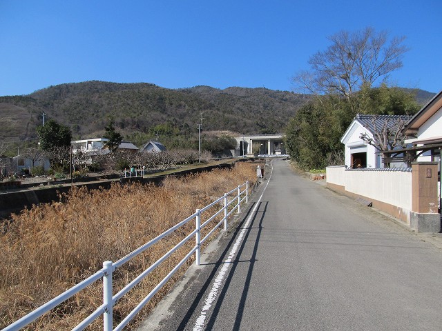 t05_191.jpg
