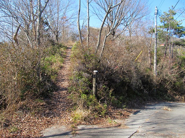t05_209.jpg