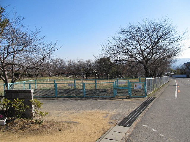 t05_244.jpg