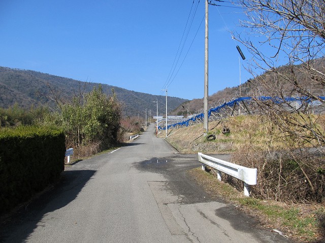 t06_055.jpg
