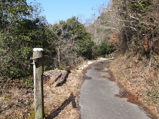 t06_084.jpg