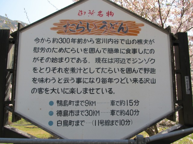 t07_009.jpg