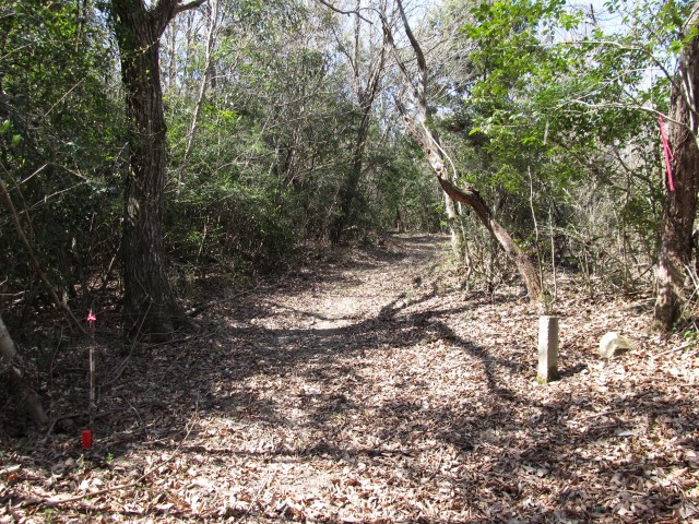 t07_032.jpg