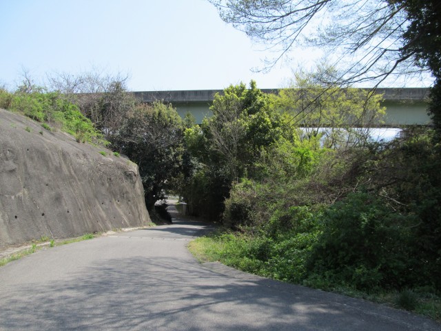 t08_009.jpg
