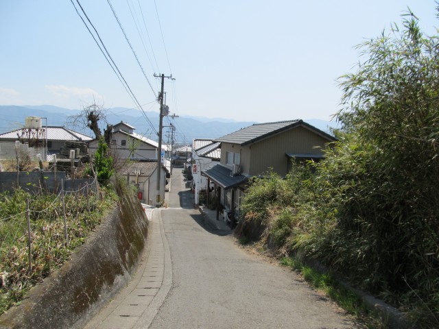t08_011.jpg