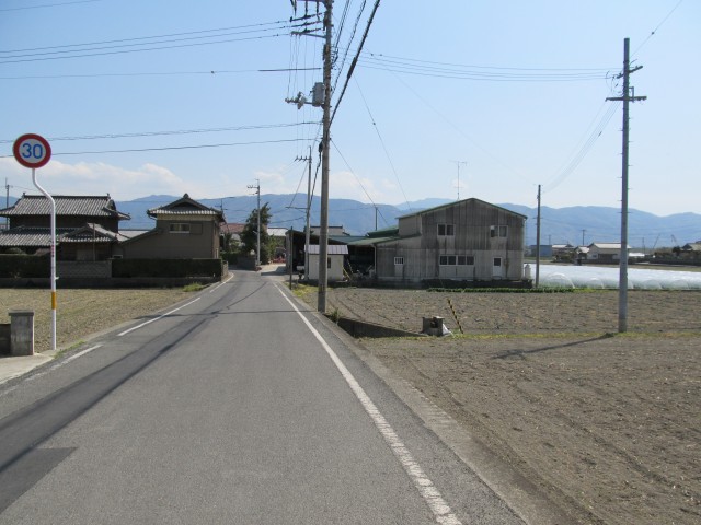 t08_036.jpg