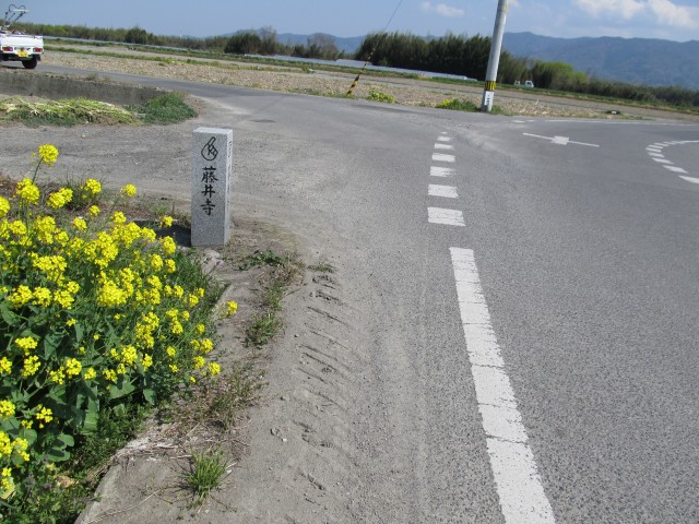 t08_046.jpg