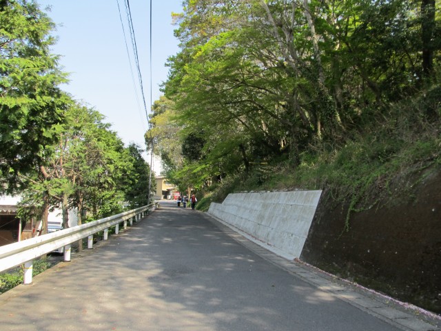 t08_064.jpg
