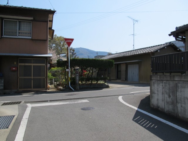 t08_069.jpg
