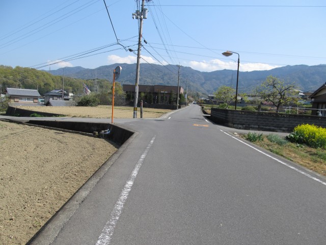 t08_081.jpg
