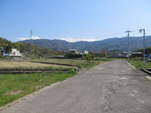 t08_084.jpg