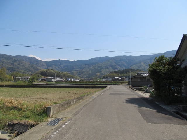 t08_086.jpg