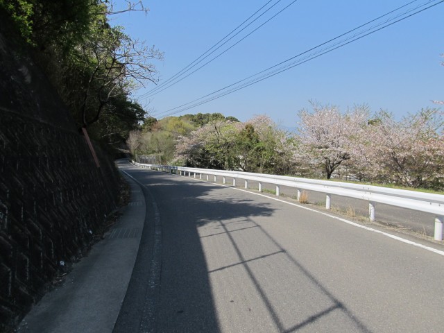 t08_093.jpg