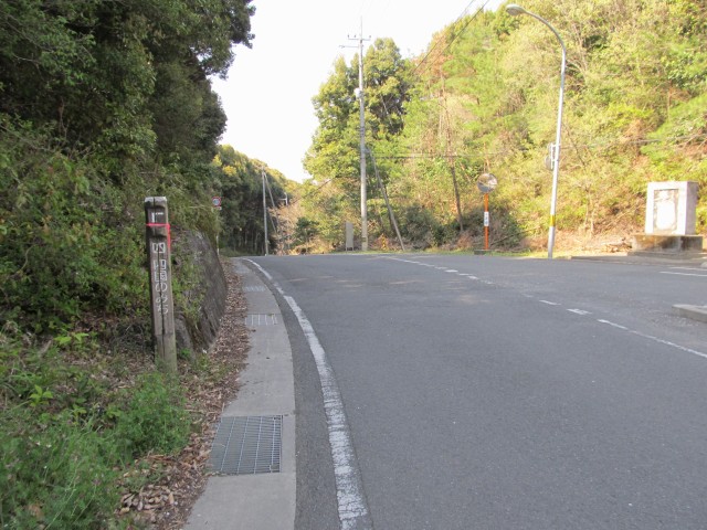 t08_094.jpg