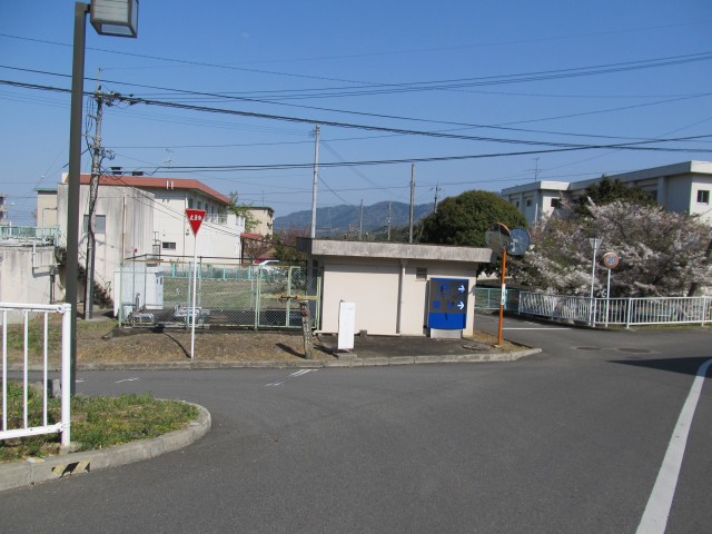 t08_097.jpg