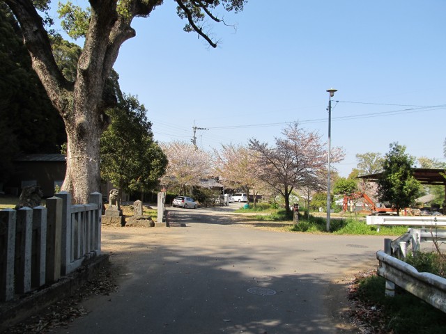 t08_098.jpg