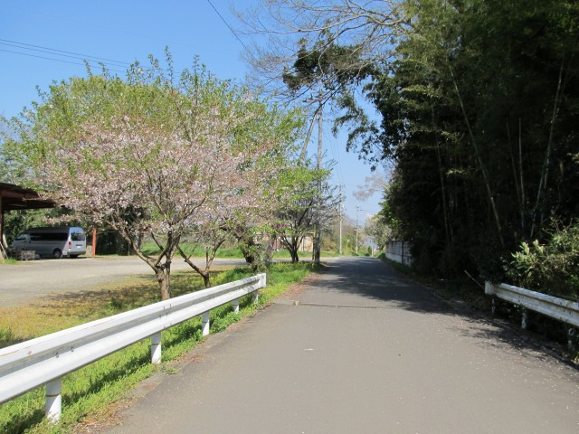t08_100.jpg