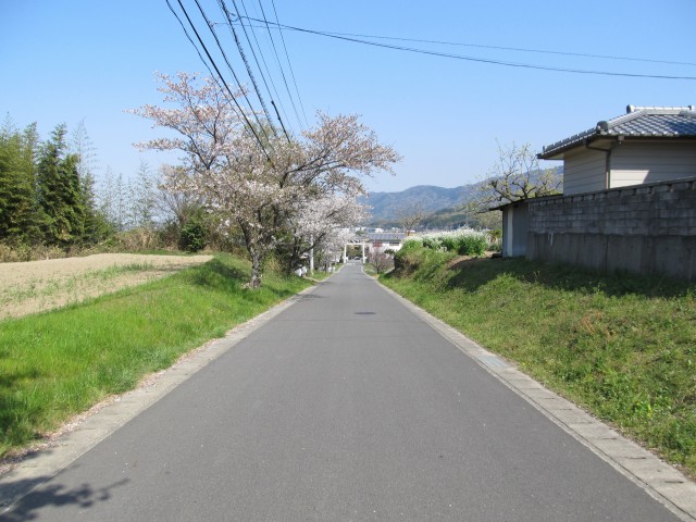 t08_103.jpg