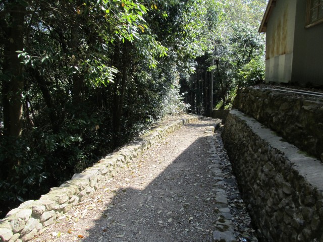 t08_116.jpg
