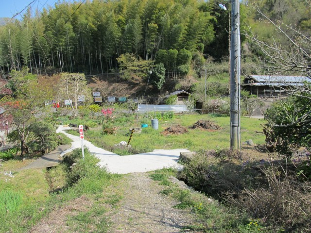 t08_119.jpg