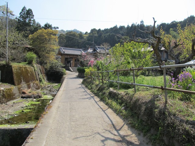 t08_120.jpg