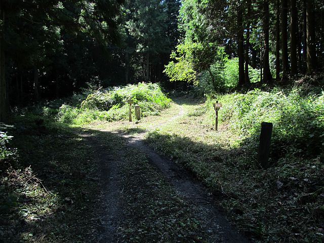 t09_089.jpg