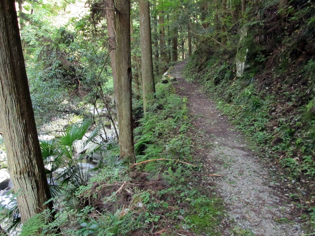 t09_164.jpg