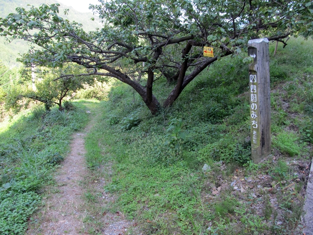 t09_224.jpg