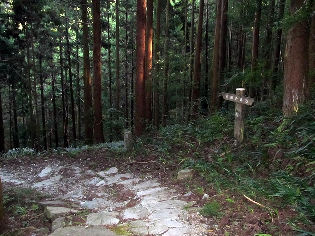 t09_234.jpg