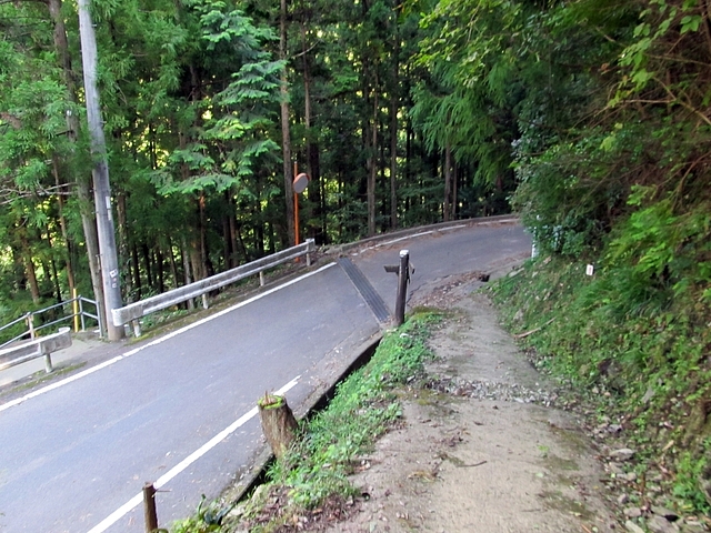 t09_239.jpg