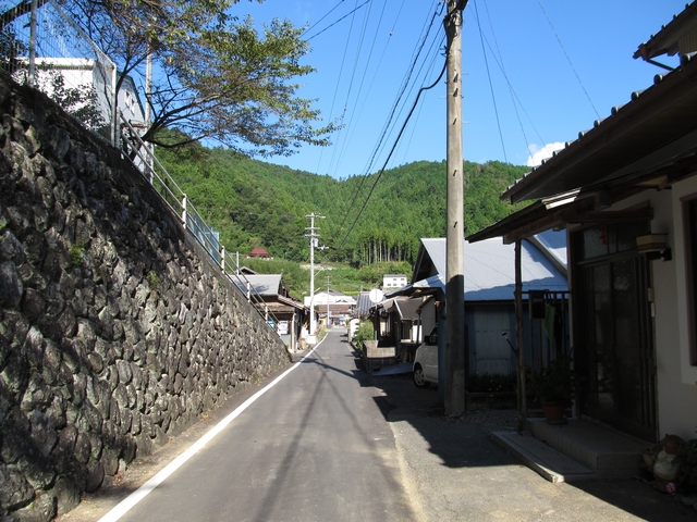 t09_244.jpg