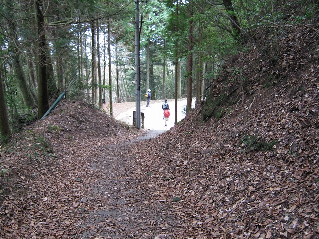 k01_07.jpg