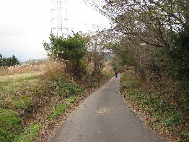 k01_24.jpg