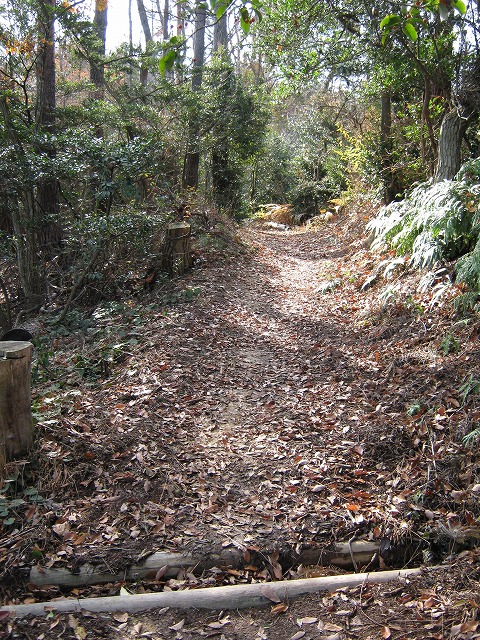 k02_30.jpg