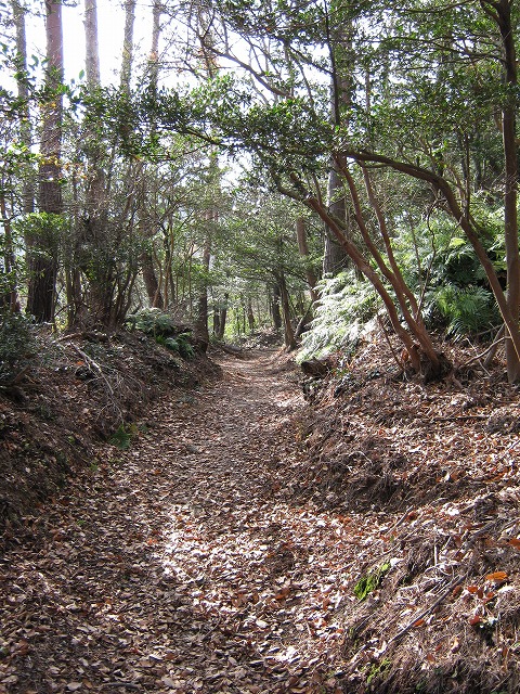 k02_32.jpg