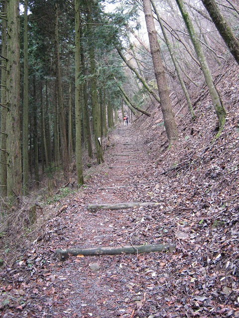 k02_60.jpg