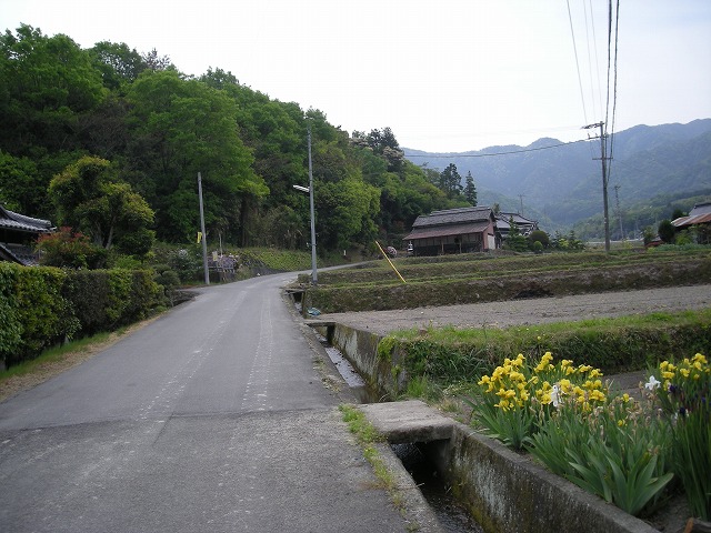 k03_12.jpg