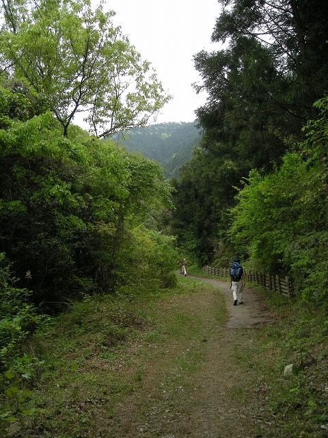 k03_42.jpg
