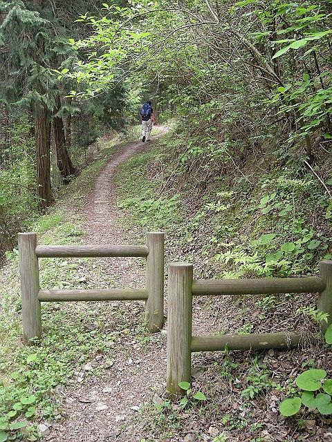 k03_44.jpg