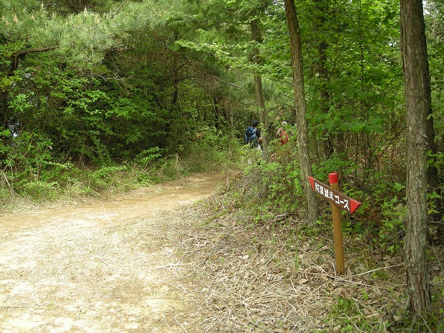 k03_65.jpg