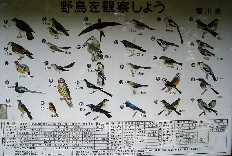 k03_77.jpg