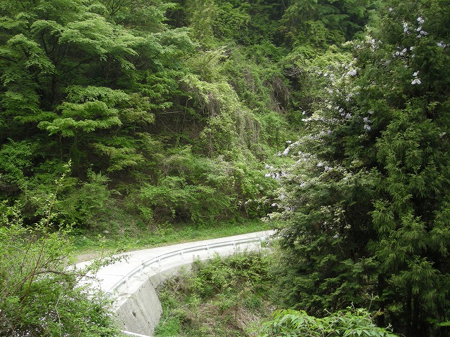 k03_87.jpg