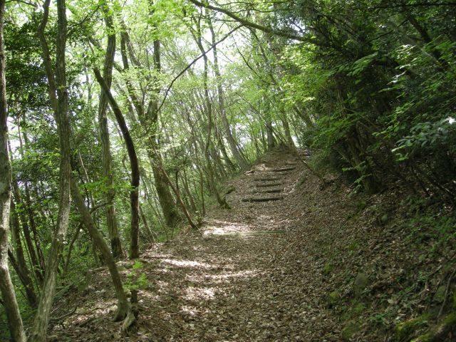 k04_058.jpg