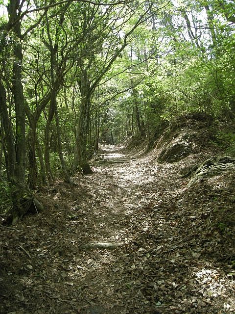 k04_063.jpg