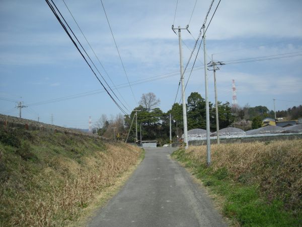 k05_23.jpg
