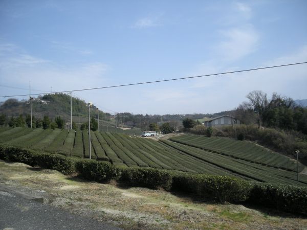 k05_58.jpg