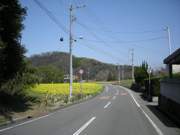 k06_08.jpg