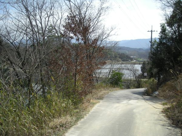 k06_12.jpg