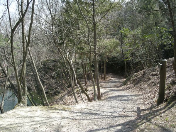 k06_16.jpg